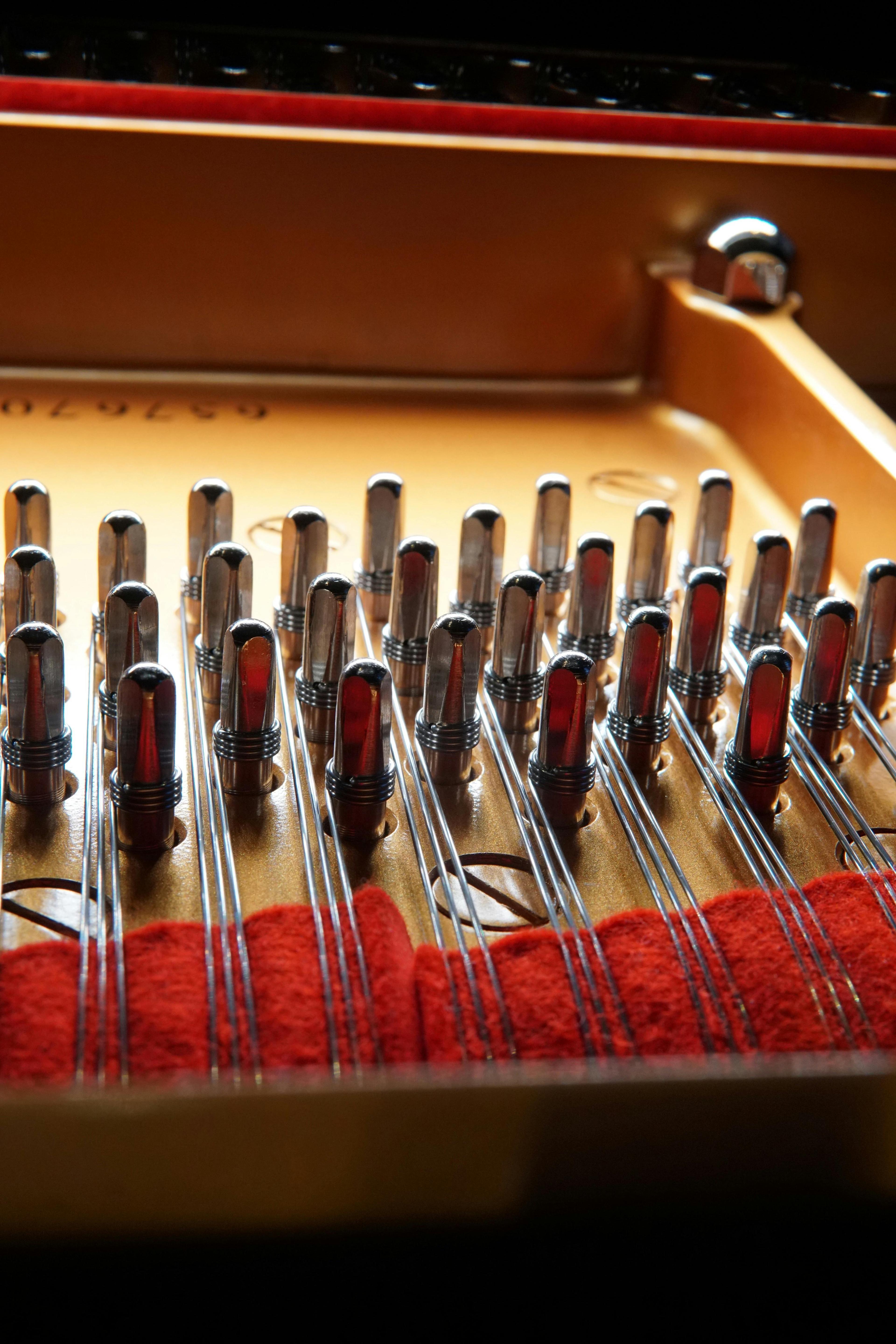 Close-up of piano strings and tuning pins